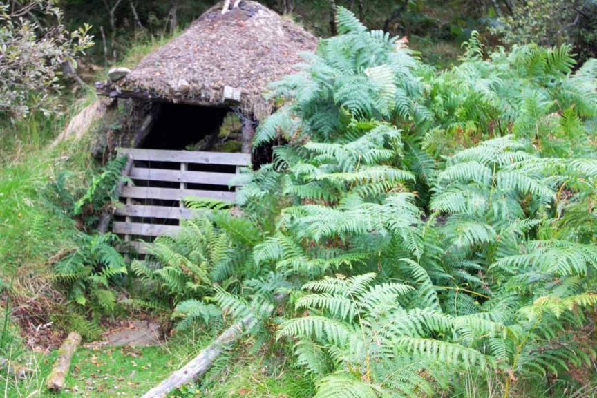 The outhouses at the Colbost Croft Museum are becoming overgrown.The National Trust is needed to ensure this important museum is maintained for future generations, or the owner needs to spend some money. Isle of Skye, Colbost Croft Museum - Outhouse Still