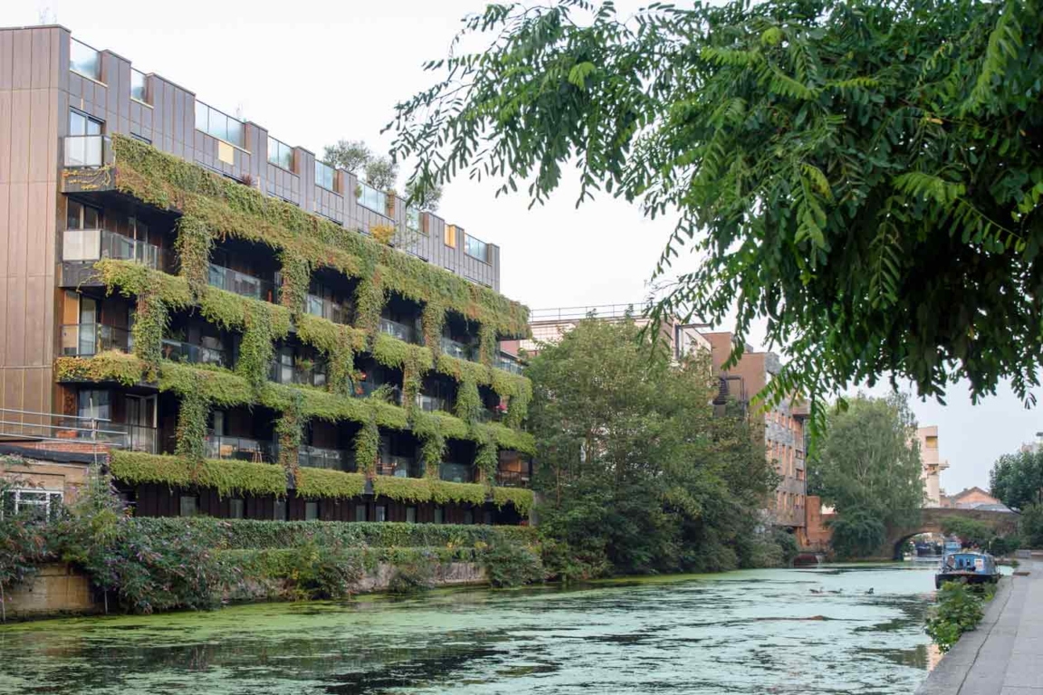 Ivy clad apartment block between Kingsland and Whitmore Roads, between Kingsland Basin and Islington. Ivy-Apartment-Block---Kingsland-&-Whitmore-Rds